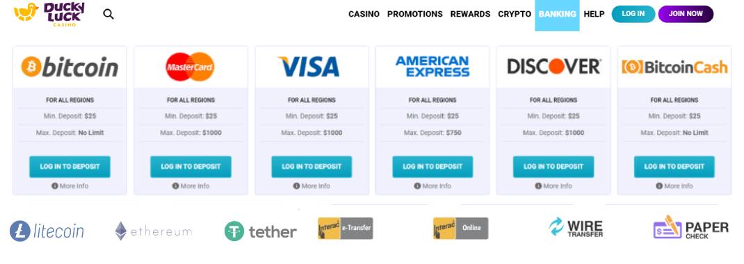 DuckyLuck Casino Payment Methods